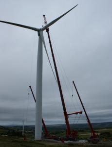 Crane and Wind mill