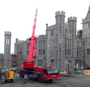 Crane in Adare Manor 1