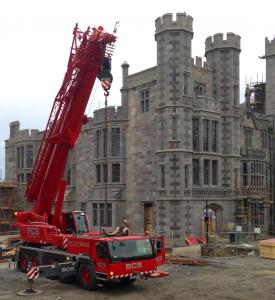 Crane in Adare Manor 2